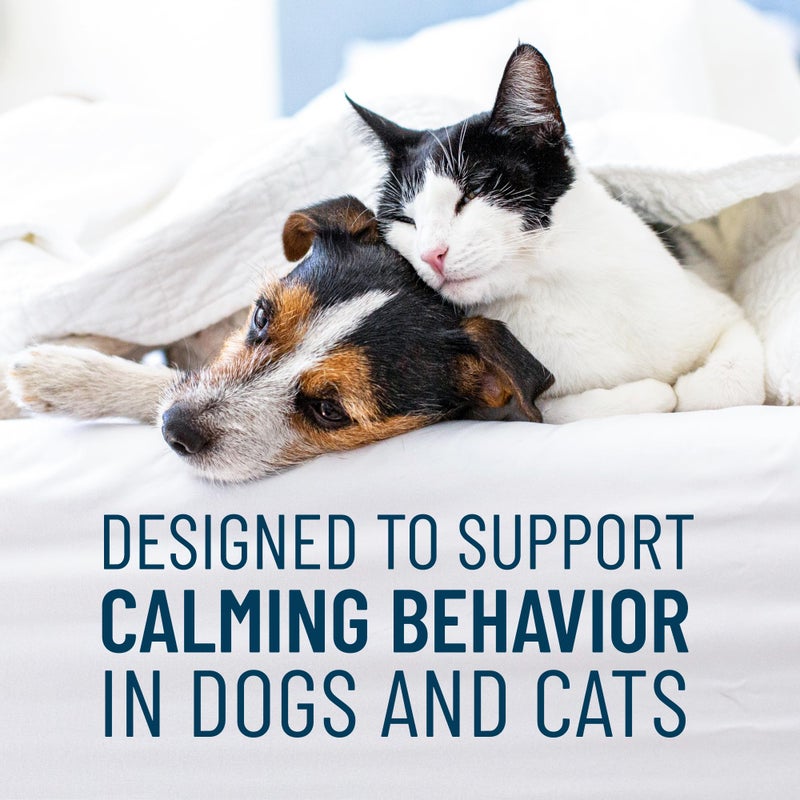Nutramax Laboratories Nutramax Solliquin Calming Behavioral Health Supplement for Small to Medium Dogs and Cats - With L-Theanine, Magnolia / Phellodendron, and Whey Protein Concentrate, 75 Soft Chews - Image 2
